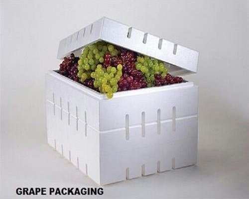 grapes packaging box, thermocol boxes, fruit packaging box