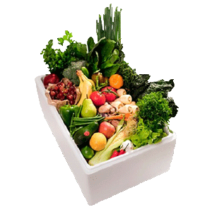 Thermocol-Boxes-For-Vegetable-Packaging