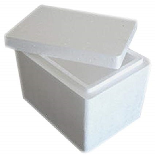 Thermocol food packaging